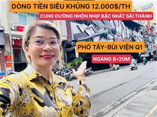 Bán toà nhà 10 tầng khu phố tây bùi viện q.1