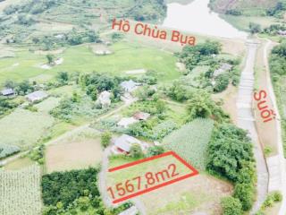 Chính chủ cần bán 1567,8m2 có 250m thổ cư tại tân lạc hòa bình. gần suối lớn, view hồ giá chỉ 850tr