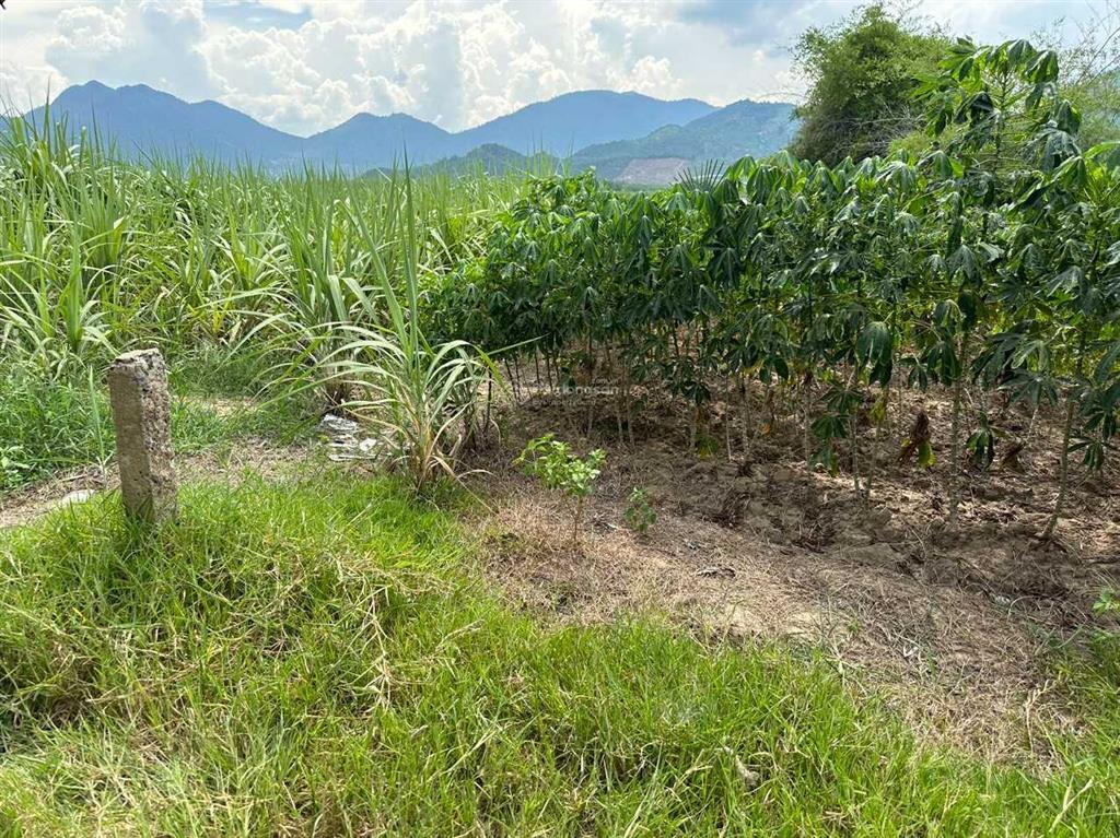 Chủ ngộp bán nhanh lô đất thôn suối sâu xã ninh tân thị xã ninh hòa