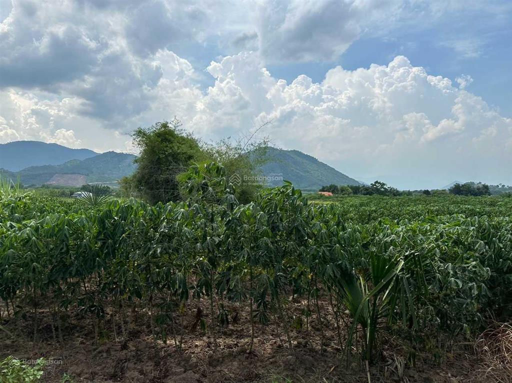 Chủ ngộp bán nhanh lô đất thôn suối sâu xã ninh tân thị xã ninh hòa
