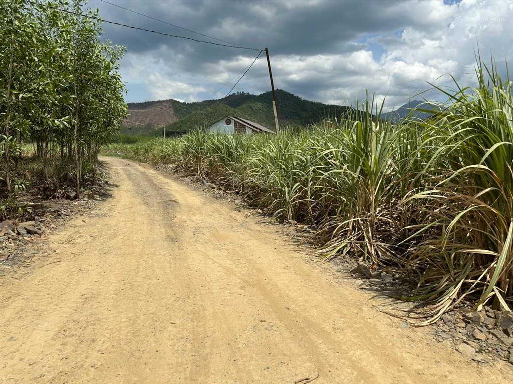Bán đất ở thôn suối sâu, xã ninh tân, thị xã ninh hòa