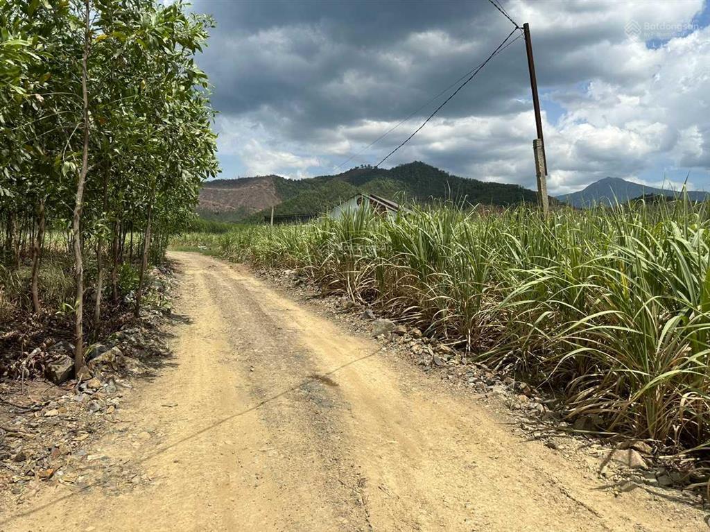 Bán đất ở thôn suối sâu, xã ninh tân, thị xã ninh hòa