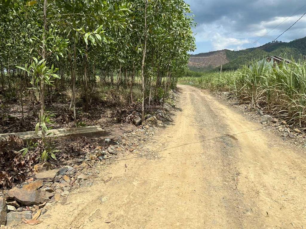 Bán đất ở thôn suối sâu, xã ninh tân, thị xã ninh hòa