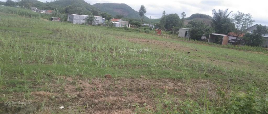 Cần bán nhanh 1.100m2 lô đất đẹp qh thổ cư 100%