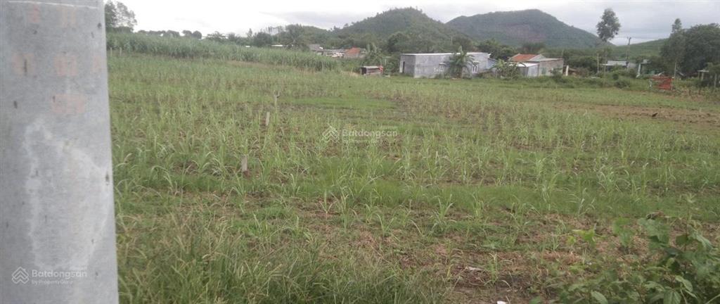 Cần bán nhanh 1.100m2 lô đất đẹp qh thổ cư 100%