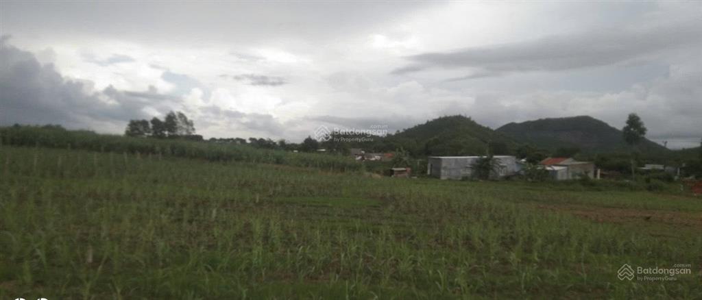 Cần bán nhanh 1.100m2 lô đất đẹp qh thổ cư 100%