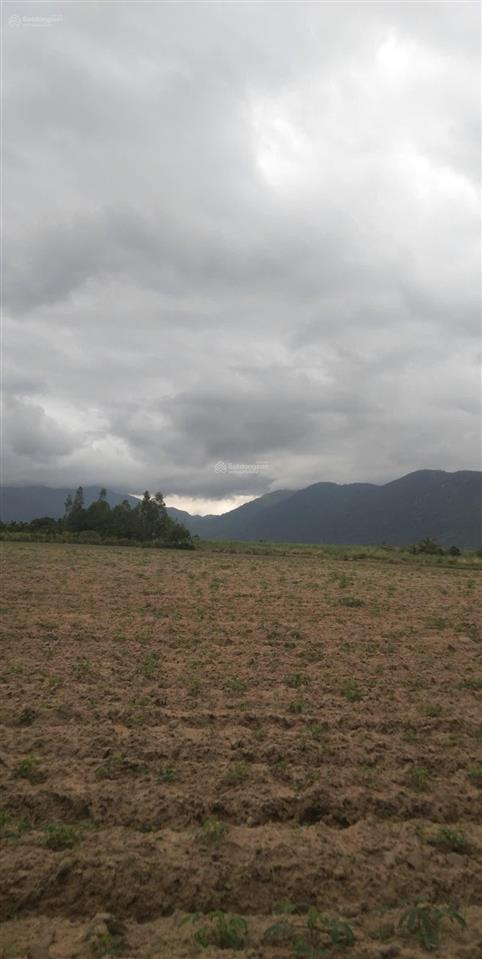 Bán lô đất giáp bờ sông xã tây ninh hòa, dt 4.500m2