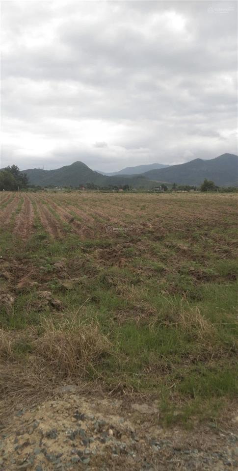 Bán lô đất giáp bờ sông xã tây ninh hòa, dt 4.500m2