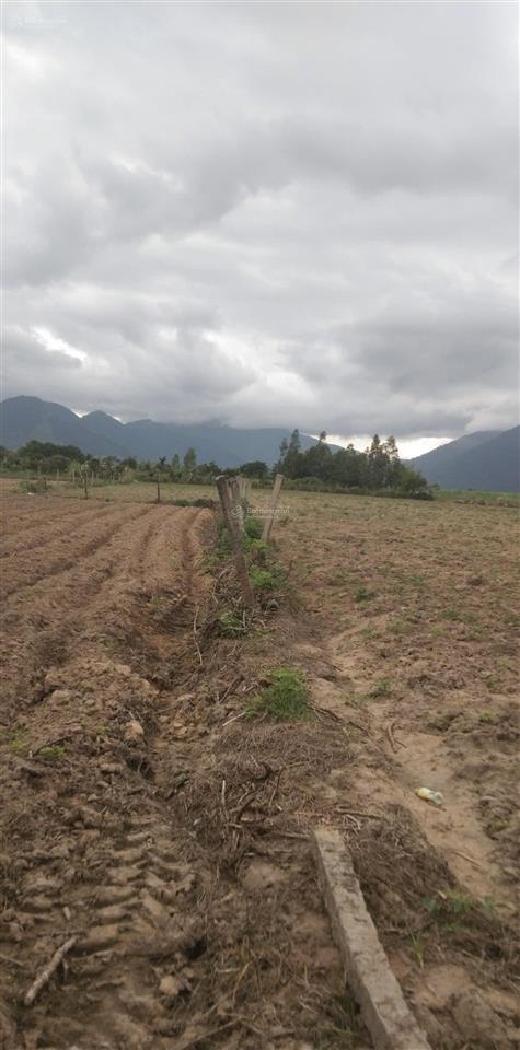 Bán lô đất giáp bờ sông xã tây ninh hòa, dt 4.500m2