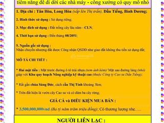 Đất cln chính chủ giáp kcn tại long hòa, dầu tiếng, bình dương