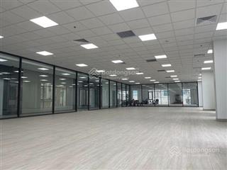 Tòa nhà văn phòng cho thuê điện tích 50m2  100m2  300m2  500m2 tại thanh xuân