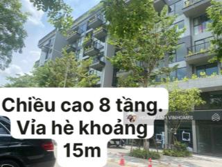 Chính chủ cắt lỗ căn shop đế ecopark sổ lâu dài, diện tích 51m mặt tiền 8.1m, giá chỉ 6 tỷ