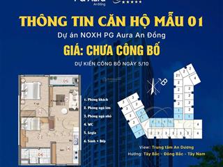 Bán nhà ở xã hội pg aura an đồng nhiều loại diện tích