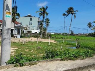 Cần bán lô đất chính chủ tại hội an, thích hợp làm homestay, cf...., nhìn đất là thích ngay ạ