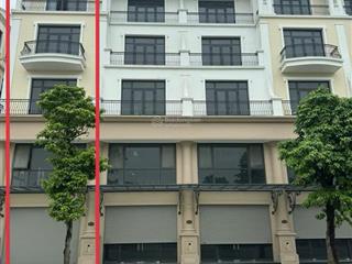 Cần bán gấp shophouse đảo dừa 120m2 đường 20m  mặt tiền 5.5x16m. đối diện trường học vinschool