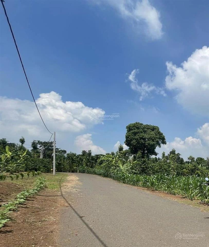 Bán nhanh 986m2 (17x58m) thổ cư trung tâm láng lớn