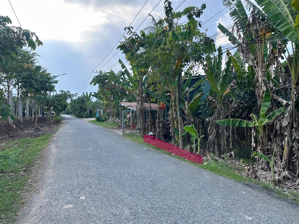 Đất bán 300m2 đất mặt tiền nhựa cầu rạch miễu 2, phường thới sơn, tỉnh đồng tháp