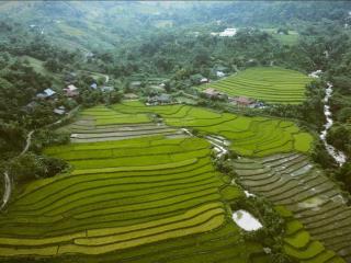 Bán trang trại  khu nghỉ dưỡng tuyệt đẹp tại xã chiềng sơn, mộc châu  ngắm trọn đỉnh pha luông