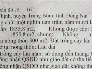 Bán đất đường hưng bình 1, 7,33 triệu vnd, 1855,8 m2, pháp lý đầy đủ