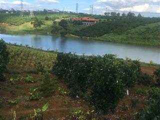 Cần bán đất view hồ tây, di linh. có thể thương lượng