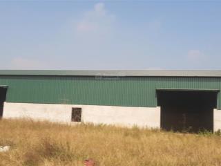 Cho thuê xưởng chính chủ từ 500m, 10000m2