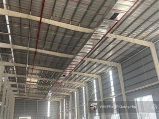 Cho thuê kho, nhà xưởng tại tứ kỳ, làm fdi, giá 75 nghìn/m2/th, dt 9000  18.000m2, có pccc tự động