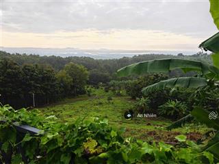 Chuyển đi nơi khác bán vườn gần hồ trị an2500m2, sổ hồng riêng, pháp lý rõ ràng, hỗ trợ vay 50%