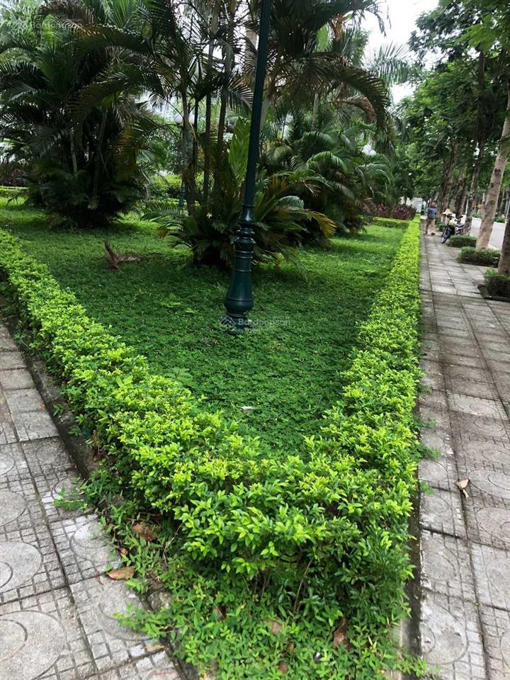 Rẻ nhất thị trường bán dt 78m, mt hơn 5 m dịch vụ song phương hoài đức vị trí đẹp view thoáng