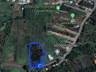 5.889m2 đất vườn đường huỳnh thị hiếu phường tân an, thủ dầu một, bình dương giá chỉ 2,5tr/m2