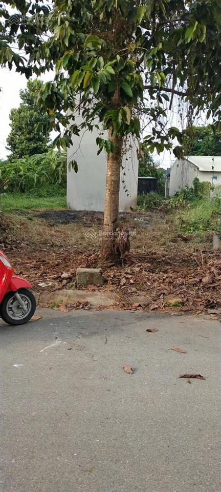 Mặt tiền đường số 12 khu đô thị lợi bình nhơn kẹt tiền bán gấp l/h 0909 480 ***