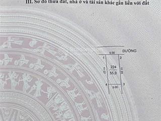 Bán gấp đất hương đình đông  mai đình  sóc sơn  hn giá đầu tư chỉ 3x tr/m2