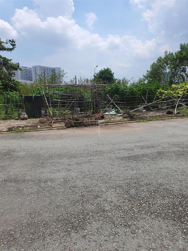 Bán nhanh lô đất 300m trục 20m, đường liên phường quận 9 giá 85 tr/m2