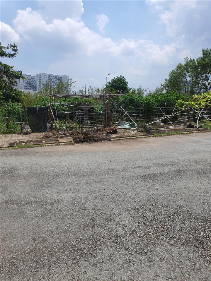 Bán nhanh lô 420m2 đất ngang 21m một sẹc đường liên phường, quận 9. giá 78,5 tr/m2