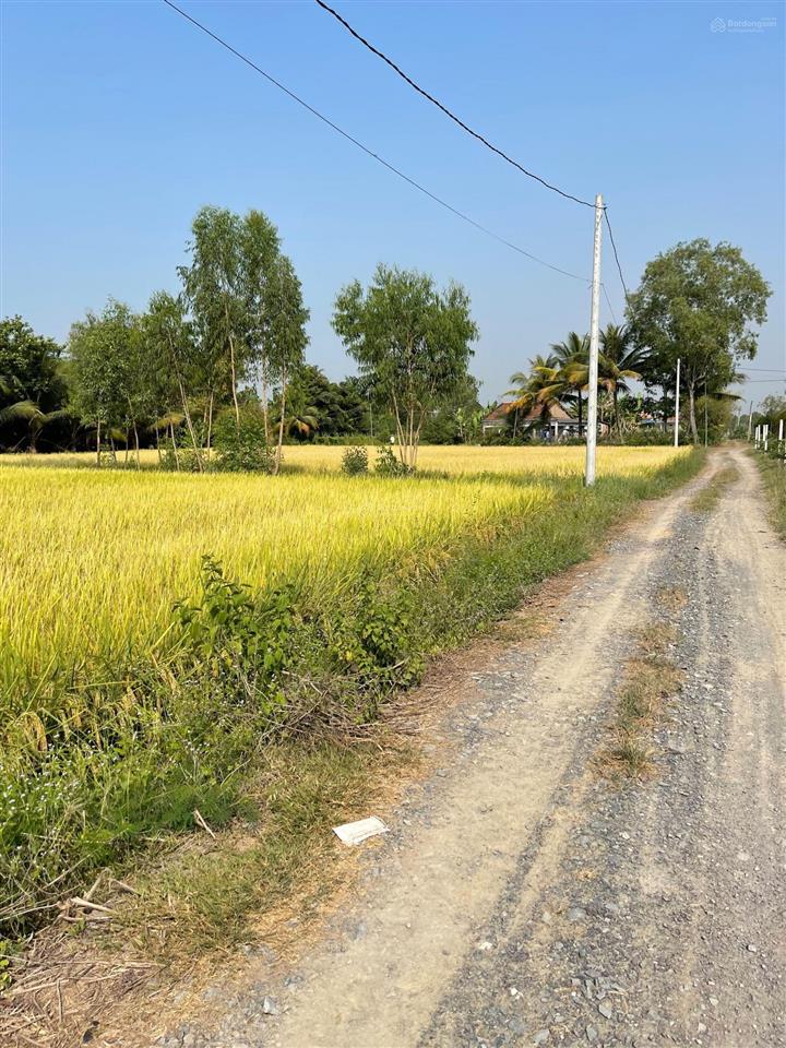 Bán gấp 699m2 đất cất nhà vườn