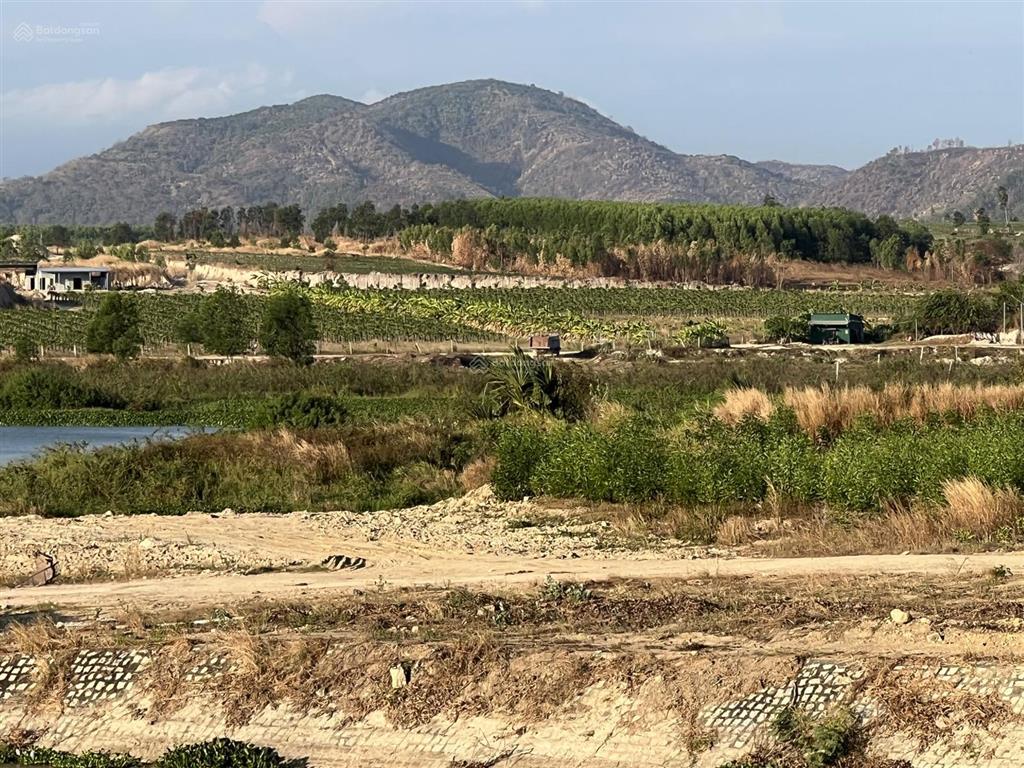 Cần bán 15 mẫu đất view hồ sông dinh, tt tân nghĩa, hàm tân, bình thuận giá 3,5 tỷ / mẫu