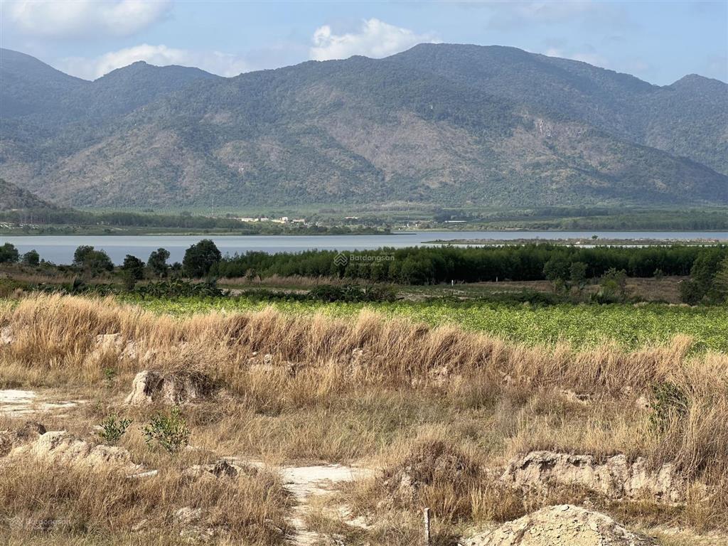 Cần bán 15 mẫu đất view hồ sông dinh, tt tân nghĩa, hàm tân, bình thuận giá 3,5 tỷ / mẫu