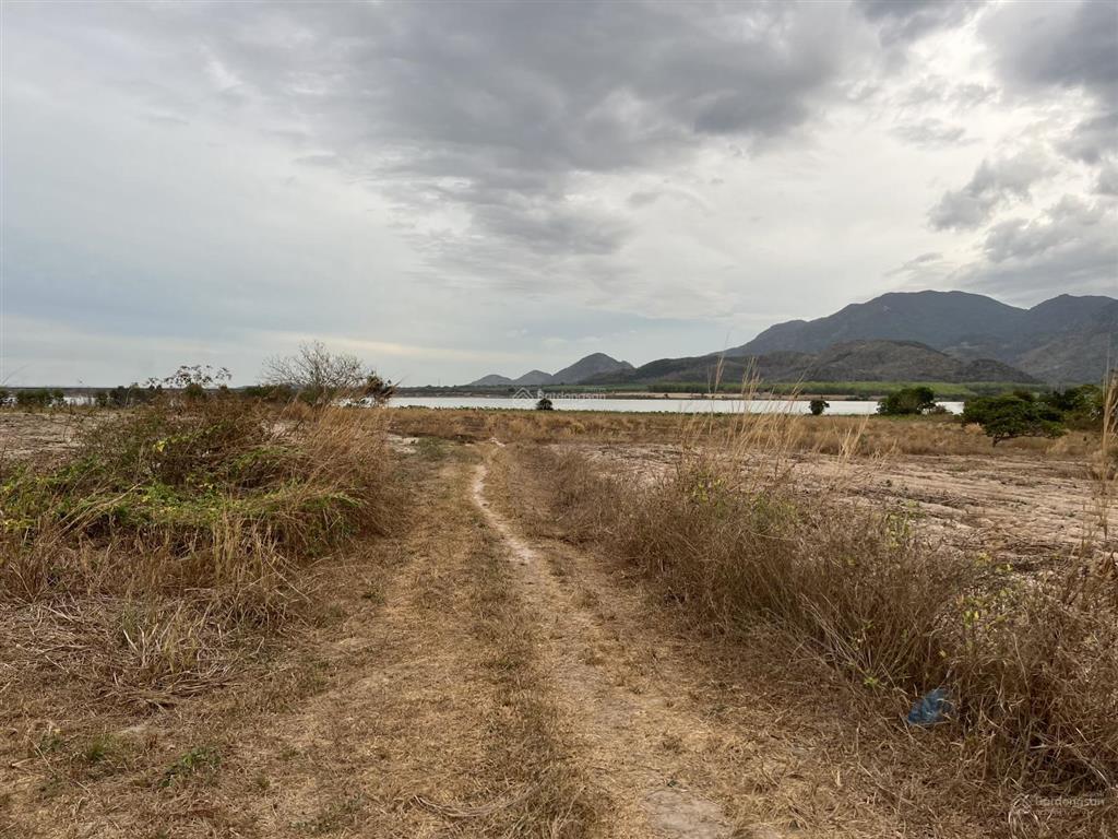 Cần bán 15 mẫu đất view hồ sông dinh, tt tân nghĩa, hàm tân, bình thuận giá 3,5 tỷ / mẫu