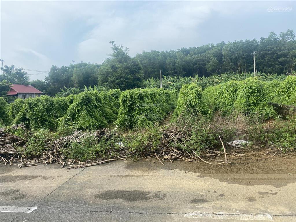 Bán 116,6m2 rẻ nhất khu tái định cư đồng doi