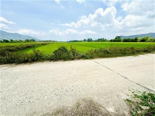 Đất nông nghiệp mặt tiền đường bê tông 6m xã suối cát, huyện cam lâm, khánh hoà
