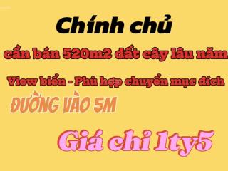 Chính chủ bán lô đất cây lâu năm view biển  phù hợp chuyển mục đích  giá chỉ 1ty5