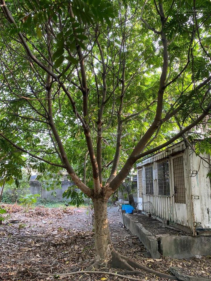 Hạ giá bán nhanh đất đường quách điêu, vĩnh lộc. dt 30m x 40m