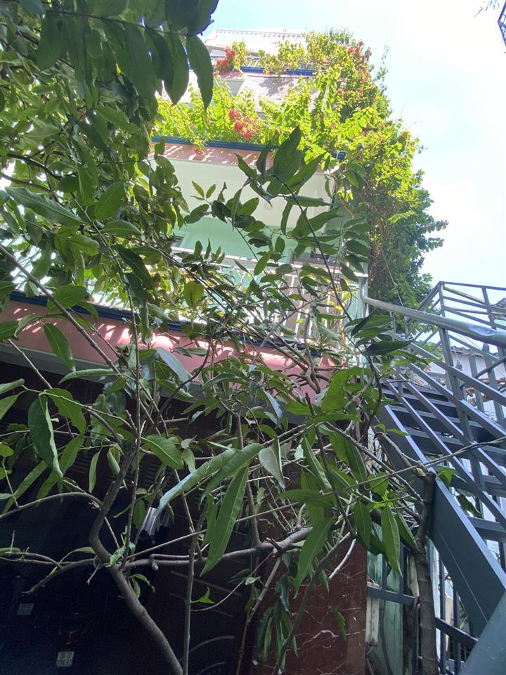 Cho thuê chdv ban công full nội thất bình thạnh, gần quận 1