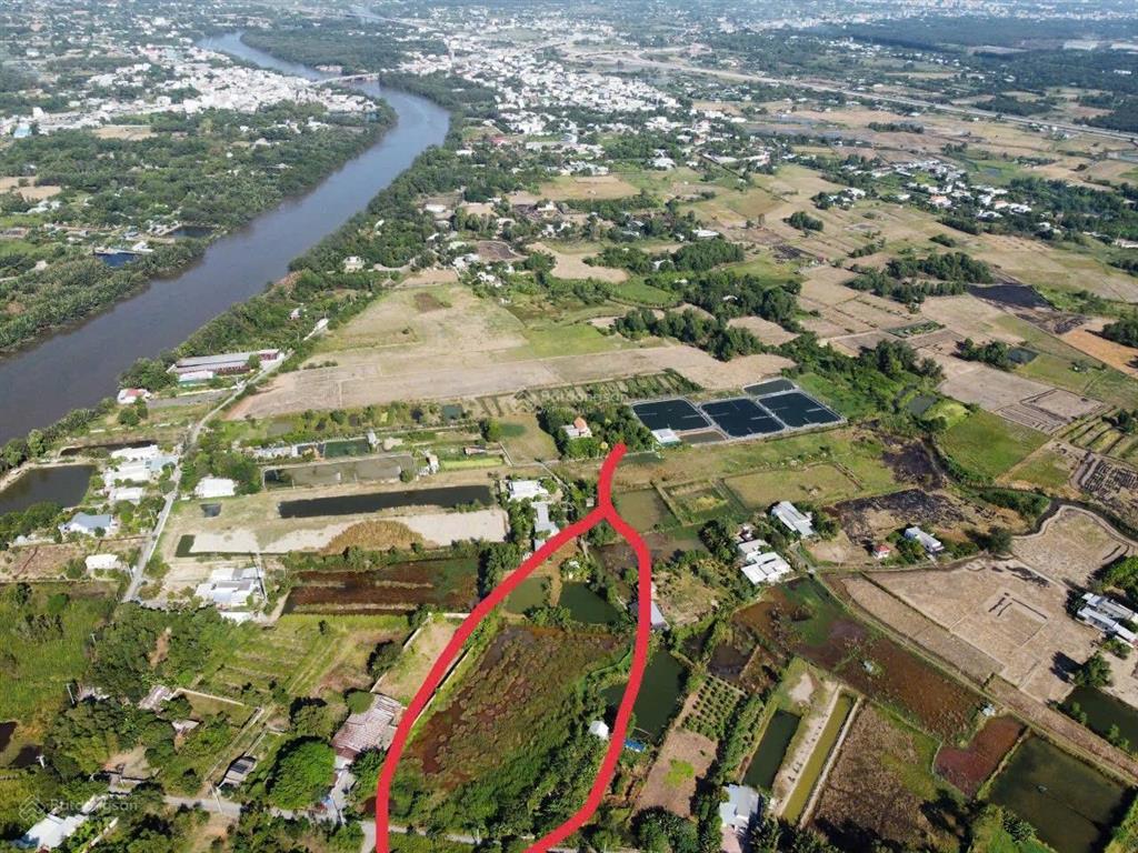 Bán gấp 5000m2 đất trồng cây phủ hồng giá đầu tư 8tr/m2