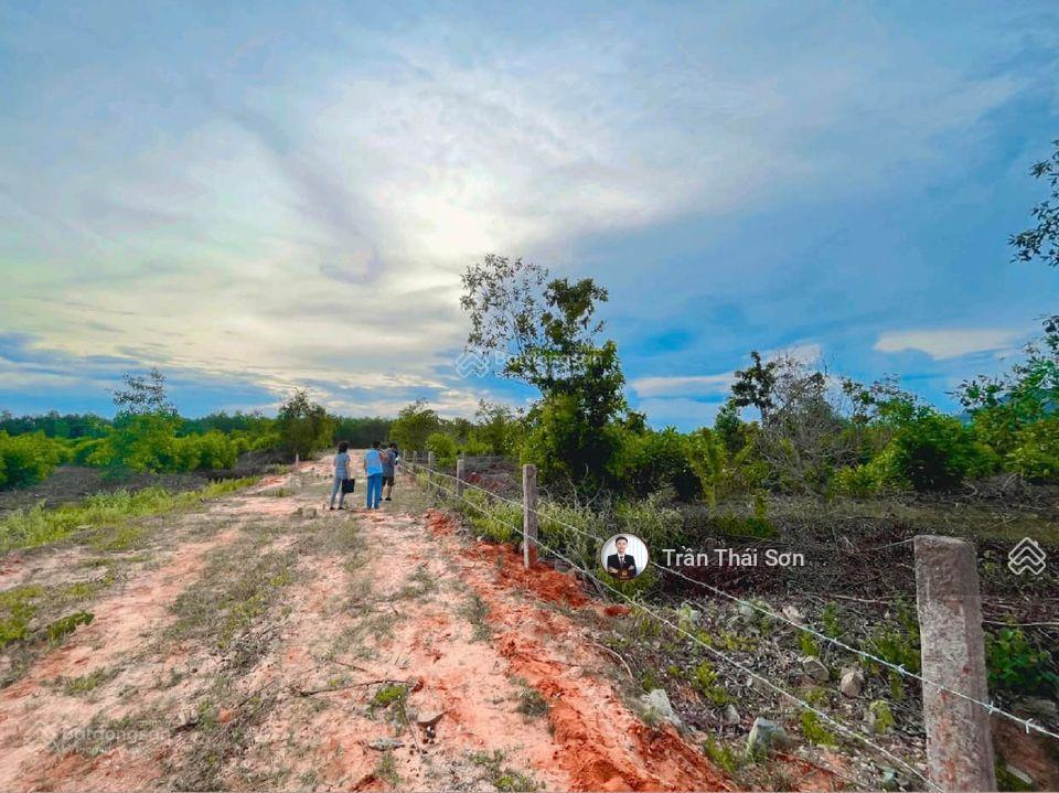 Chính chủ cần bán nhanh 2 sào đất gần sân bay phan thiết, vuông vức shr chỉ 900tr