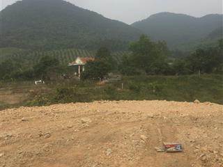 Bán đất thôn đài làng, xã vạn yên, huyện vân đồn, quảng ninh, quy hoạch 2024.  0919 686 ***