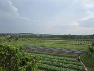 Đất rẻ trung tâm thị trấn phú long  bình thuận. tiềm năng sinh lời cao