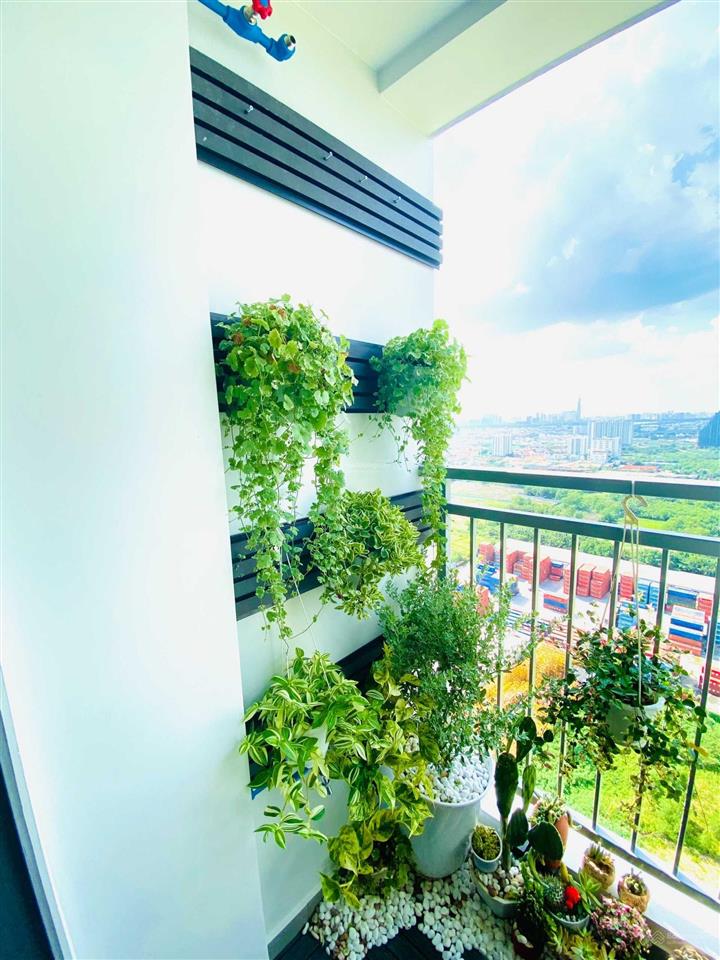 Cập nhật bảng giá cho thuê tại căn hộ q7 saigon riverside complex (đào trí) th6/2026  xem nhà 24/7