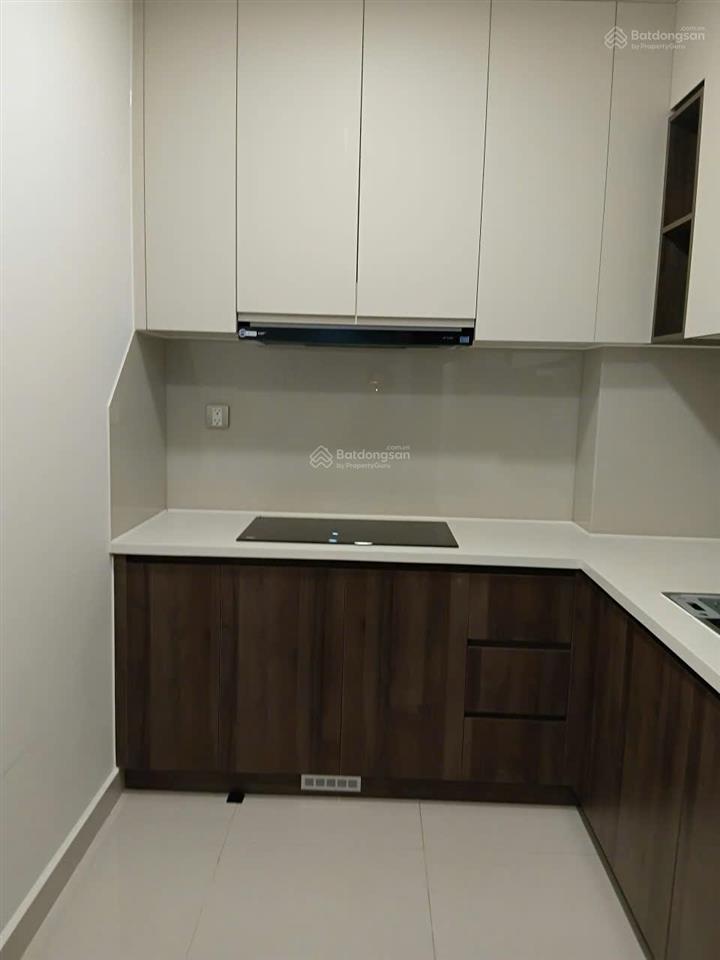 Cho thuê căn hộ cao cấp gần phú mỹ hưng, 2 phòng ngủ 2wc 70m2 có thiết kế đẹp, đầy đủ nội thất