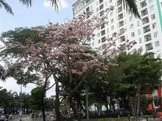 Cho thuê officetel sài gòn mia nội thất cơ bản, giá 8tr/tháng.  0936 787 ***