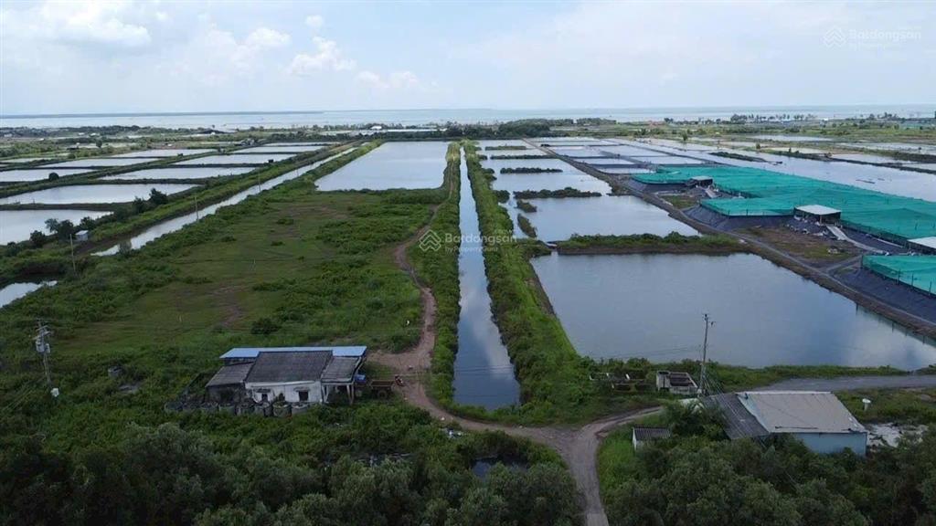 Bán 12hecta đất tại khu du lịch biển gò công đông, tiền giang. đường xe tải. giá 60 tỷ, sổ hồng